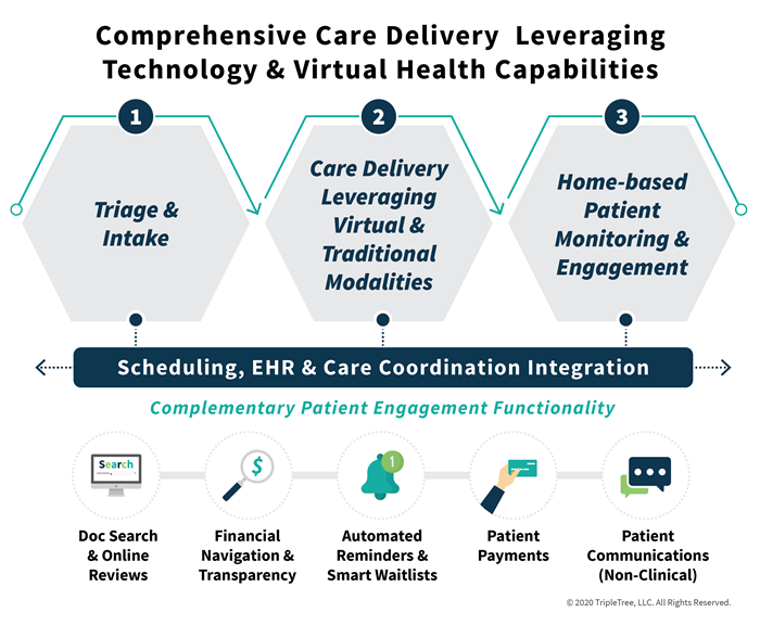 Virtual-Health-Care-Delivery_1-(1).png
